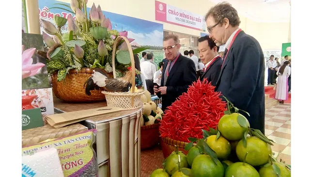 Điểm sáng tái cơ cấu nông nghiệp ảnh 1