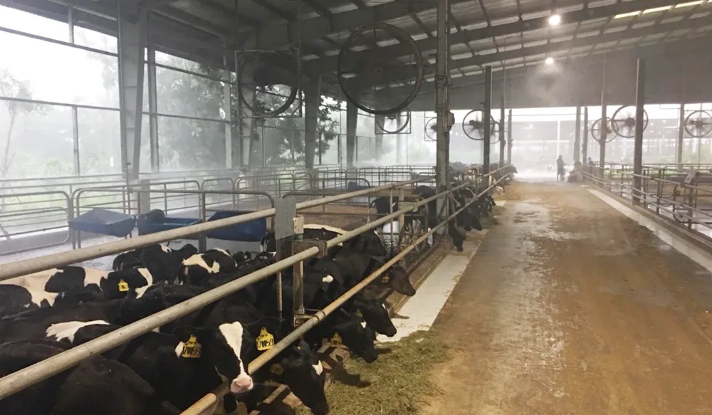 Hướng đến nền nông nghiệp hữu cơ ảnh 1