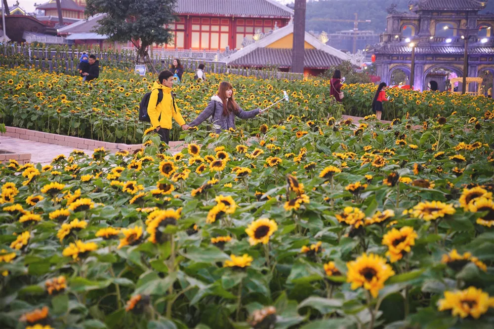 Không thể không tới Lễ hội hoa Hạ Long cuối tuần này ảnh 8