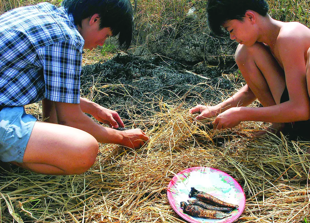 Tích tắc về phía mùa Xuân ảnh 2