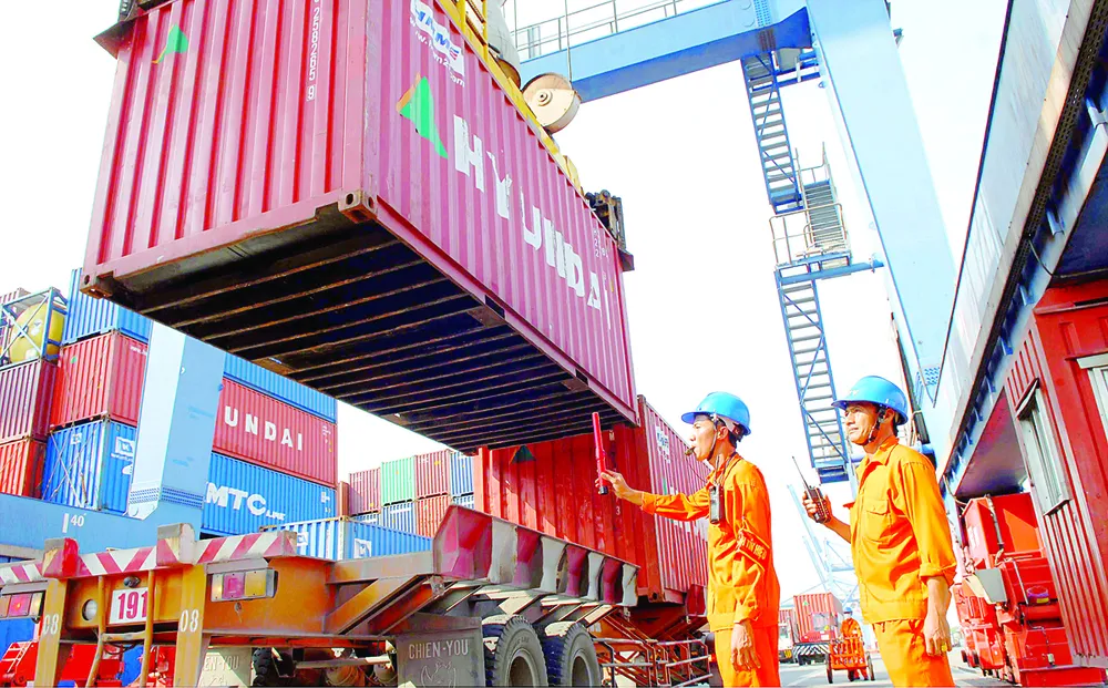 Xuất khẩu tất bật từ đầu năm  ảnh 2