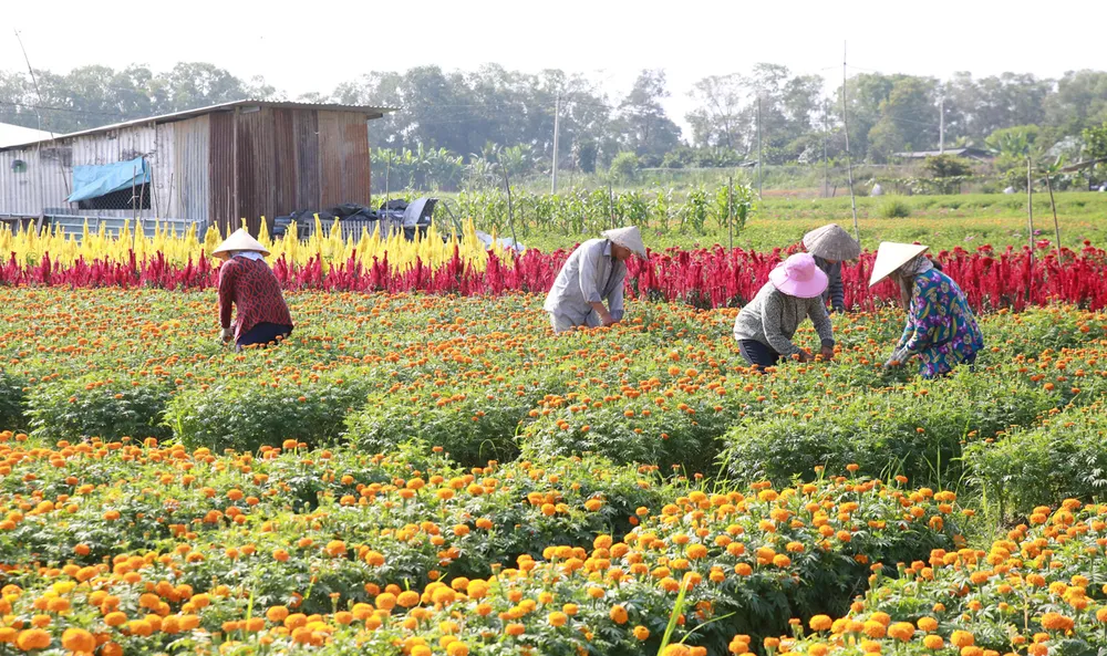 Phát triển Tân Uyên thành đô thị du lịch ven sông ảnh 1