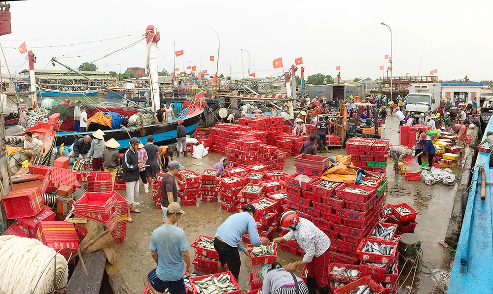 Chắp cánh khát vọng vươn khơi ảnh 1