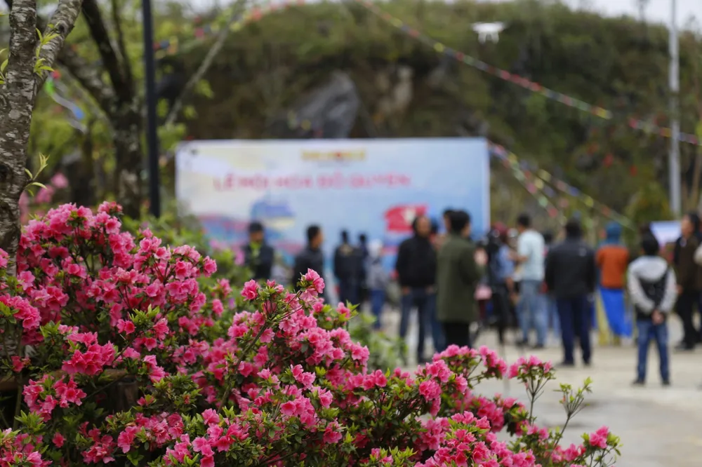 Giảm giá vé cáp treo Fansipan từ 700.000 đồng xuống còn 200.000 đồng ảnh 2