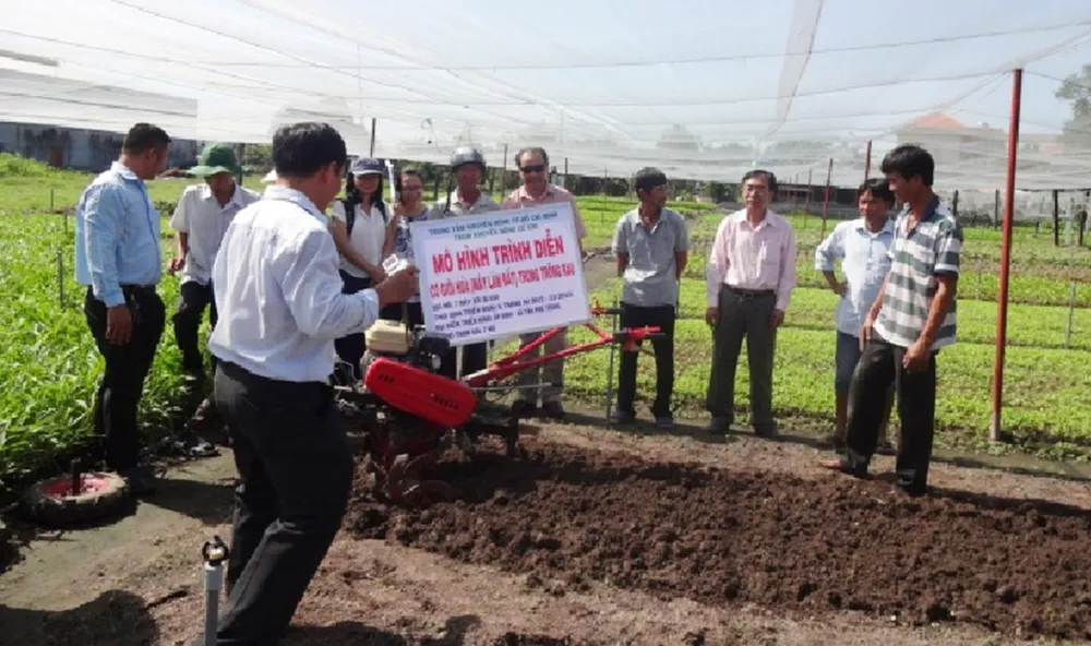 Lợi ích cơ giới hóa trên cây rau ảnh 1