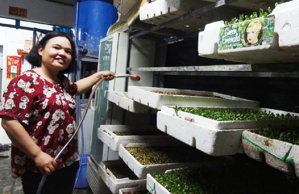 Thoát nghèo nhờ trồng rau mầm ảnh 1