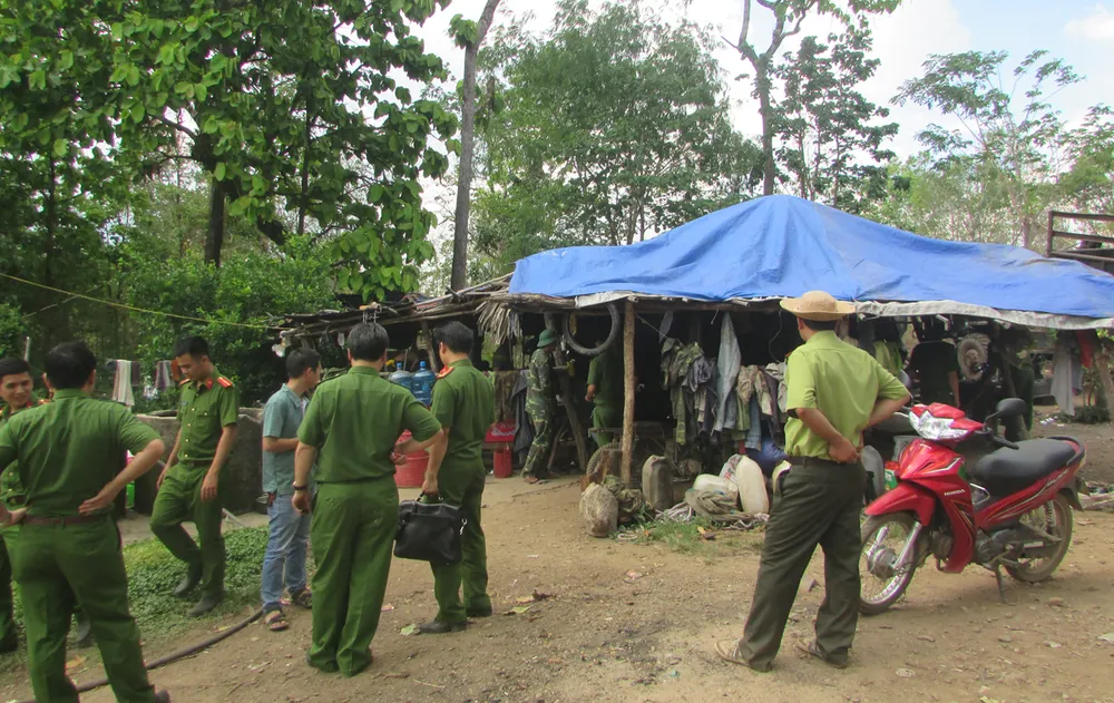 Bắt khẩn cấp trùm gỗ lậu Phượng “râu” ảnh 2