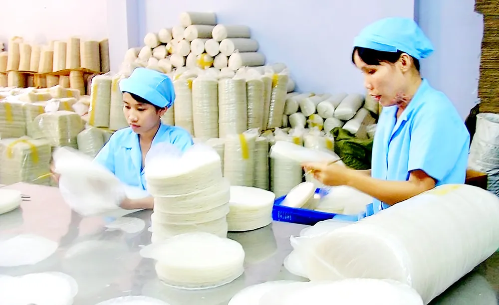 Nông nghiệp TPHCM phát triển theo mô hình nào? - Bài 2: Ưu tiên phát triển kinh tế tập thể  ảnh 1