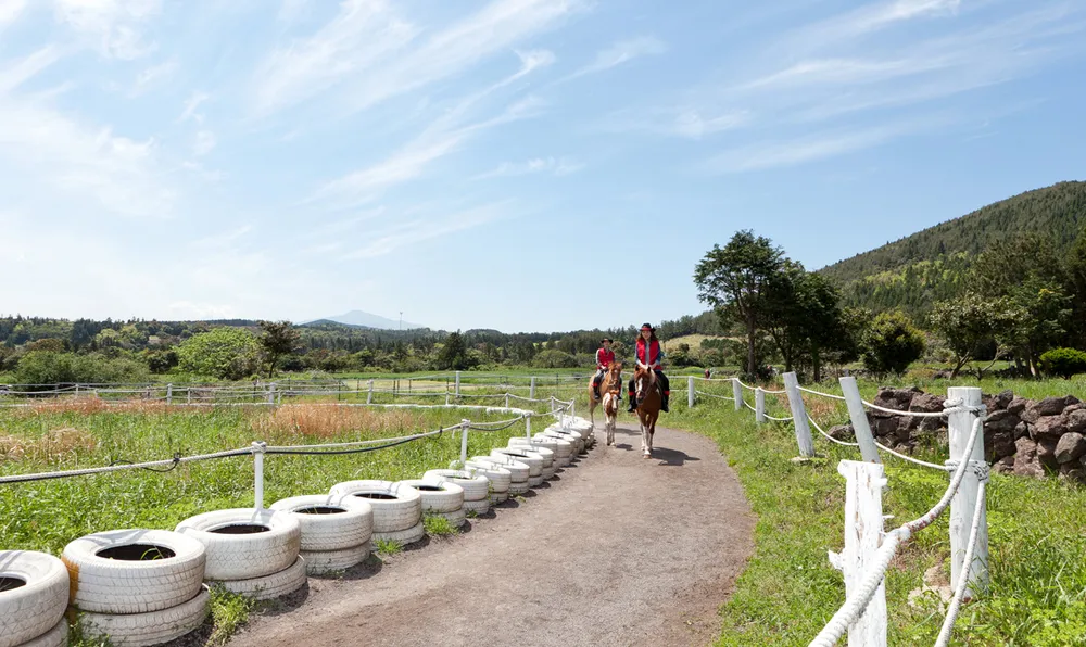  Khách Việt Nam dẫn đầu tăng trưởng thị trường khách quốc tế đến Hàn Quốc ảnh 2