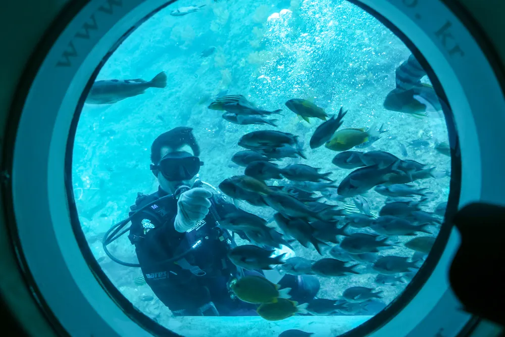  Khách Việt Nam dẫn đầu tăng trưởng thị trường khách quốc tế đến Hàn Quốc ảnh 3