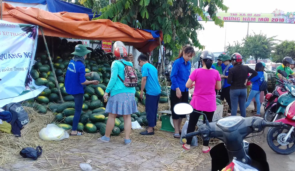 Sinh viên giúp nông dân vượt khó ảnh 1