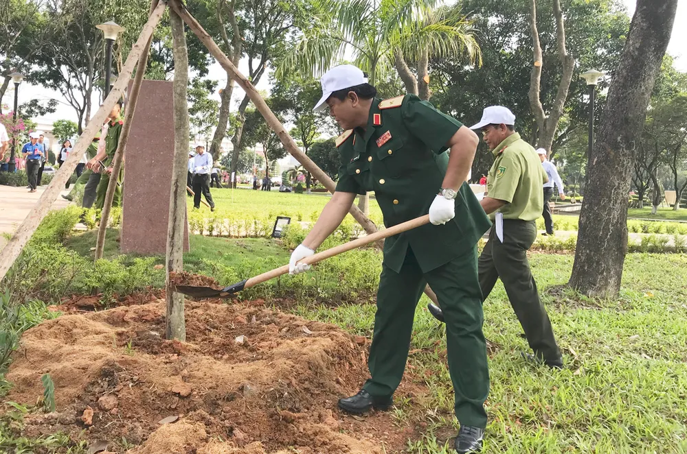 TPHCM trồng hàng trăm cây gõ đỏ, cẩm lai ảnh 1