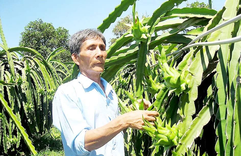 Vượt qua nghịch cảnh để sống có ích ảnh 1