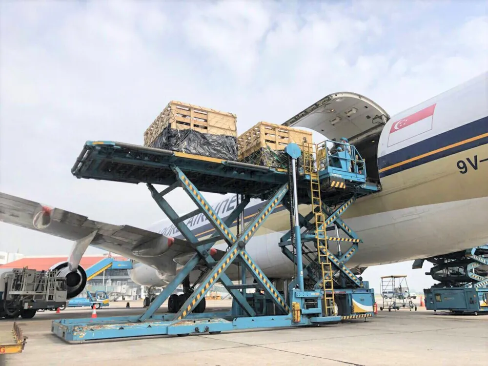 Vinamilk tiên phong nhập khẩu bò sữa chất lượng cao về Việt Nam ảnh 2