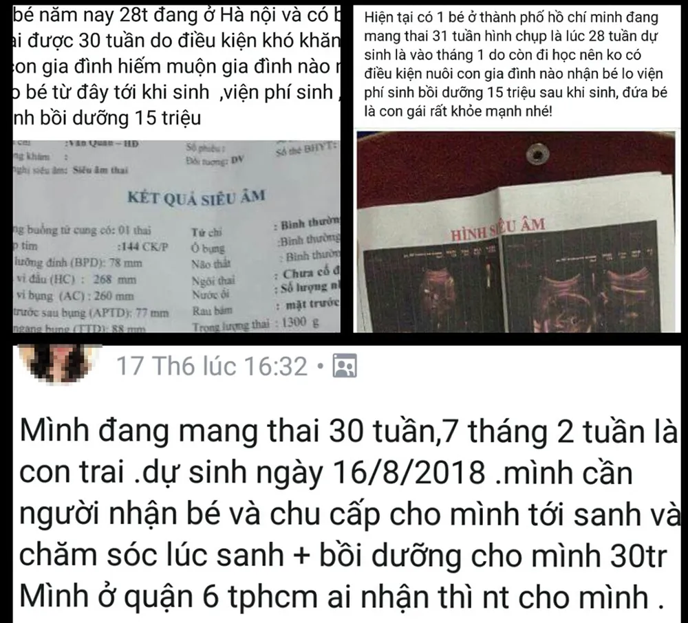 Cho và nhận con nuôi qua mạng ảnh 1