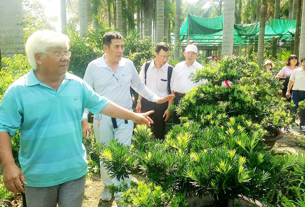 Du lịch nông nghiệp TPHCM gặp khó ảnh 1