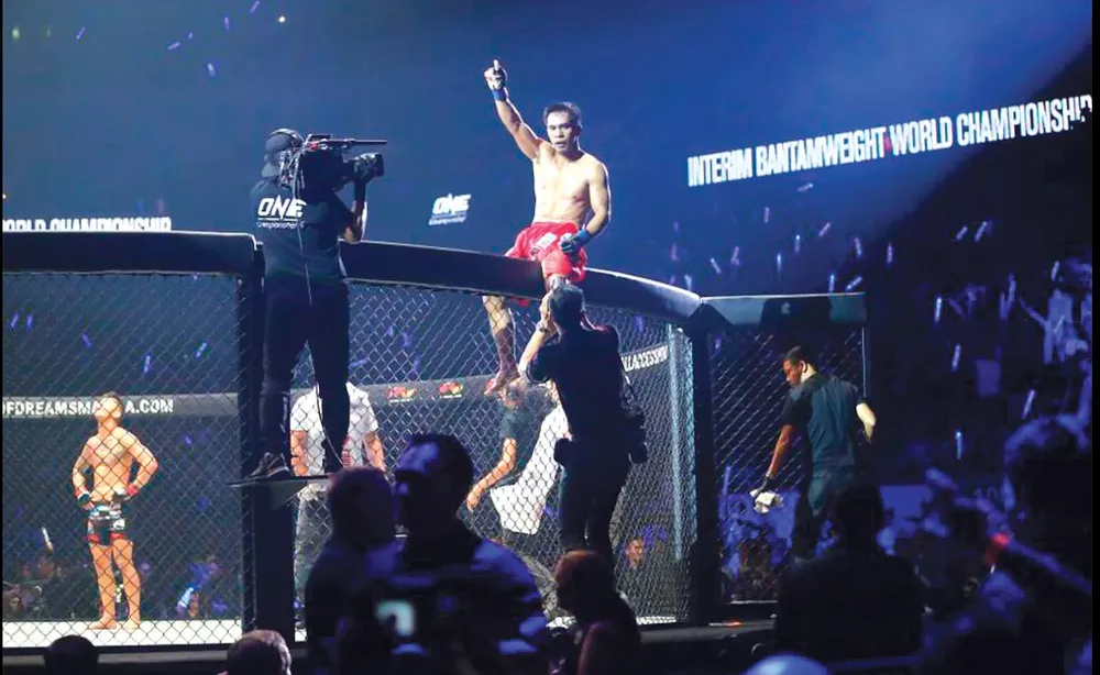 Phía sau lồng sắt ảnh 1