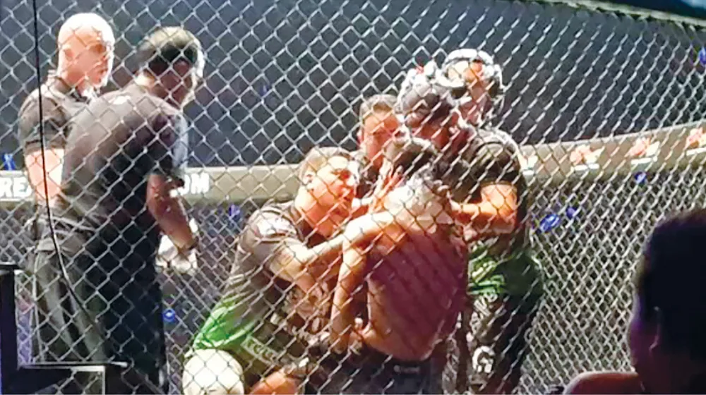 Phía sau lồng sắt ảnh 2