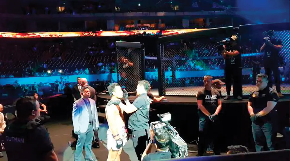 Phía sau lồng sắt ảnh 3