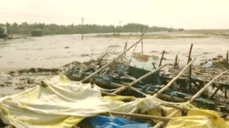 Bão Gaja làm hơn 30 người thiệt mạng tại Ấn Độ ảnh 3