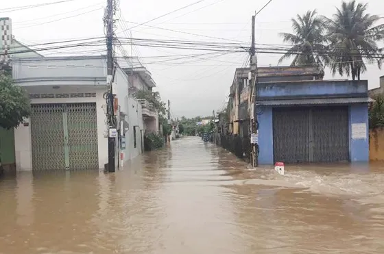 Áp thấp nhiệt đới gần bờ, Nam bộ mưa to ảnh 2