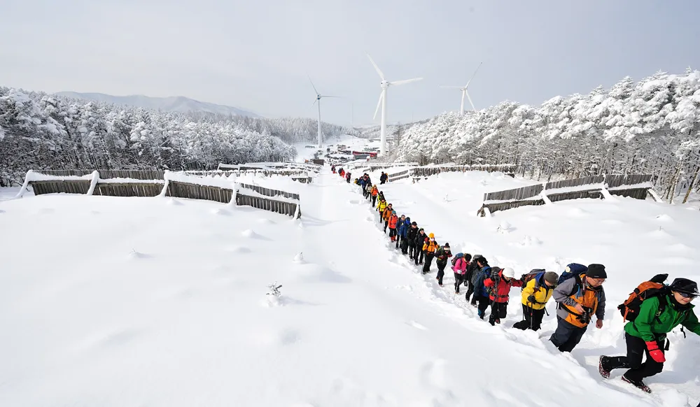 Trải nghiệm du lịch mùa Đông tại Hàn Quốc ảnh 1