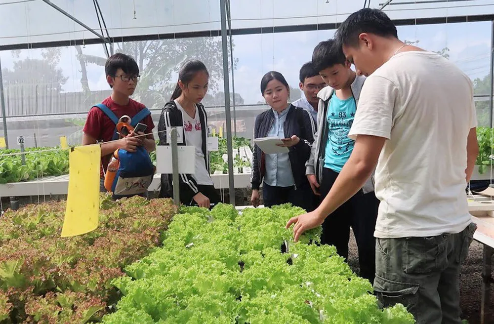 Những bạn trẻ sáng tạo robot phục vụ xã hội  ảnh 1