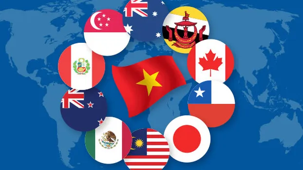 Gia cố khung thể chế để hội nhập CPTPP ảnh 1