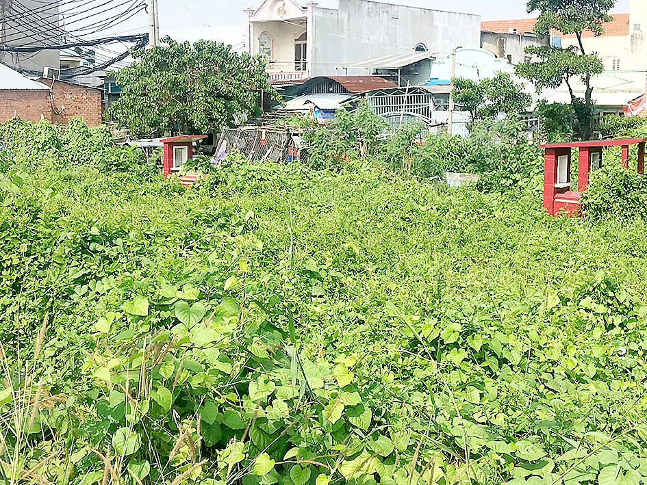 Khu dân cư ô nhiễm nặng ảnh 1