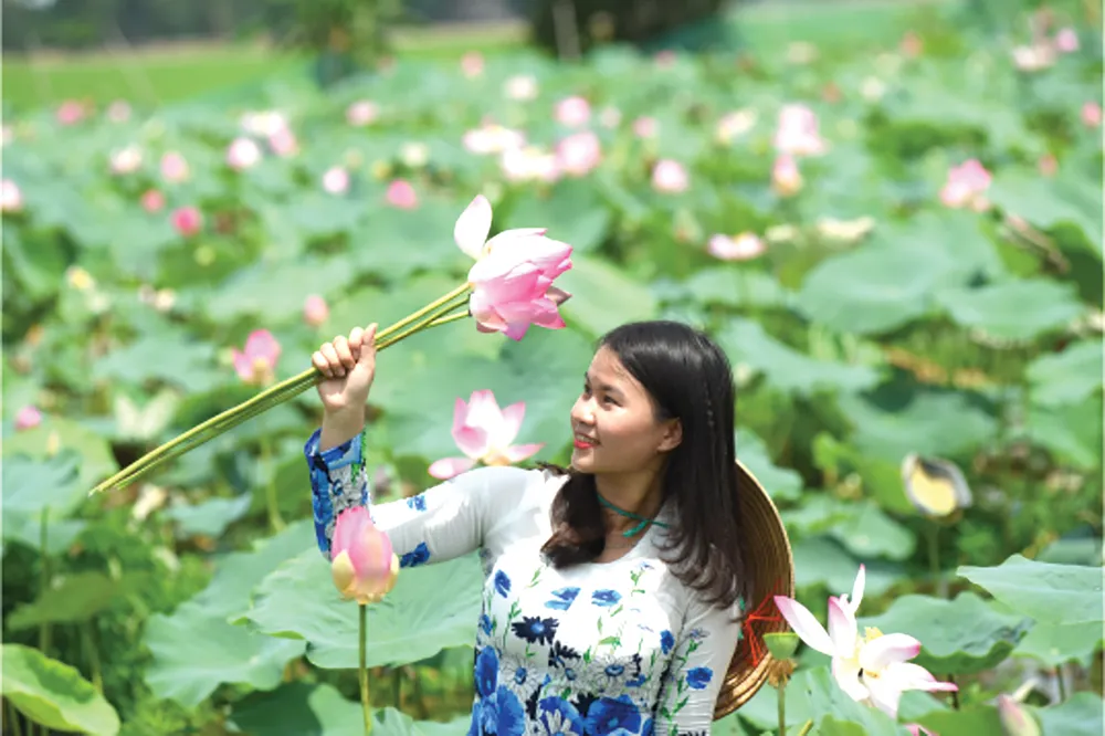 Kết quả phát động phong trào thi đua “Sáng tạo để phát triển” trong Công ty TNHH MTV XSKT Đồng Tháp