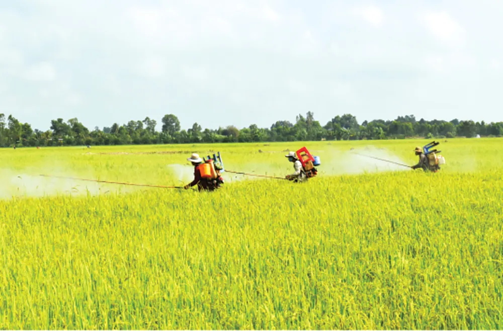 Kết quả phát động phong trào thi đua “Sáng tạo để phát triển” trong Công ty TNHH MTV XSKT Đồng Tháp ảnh 1