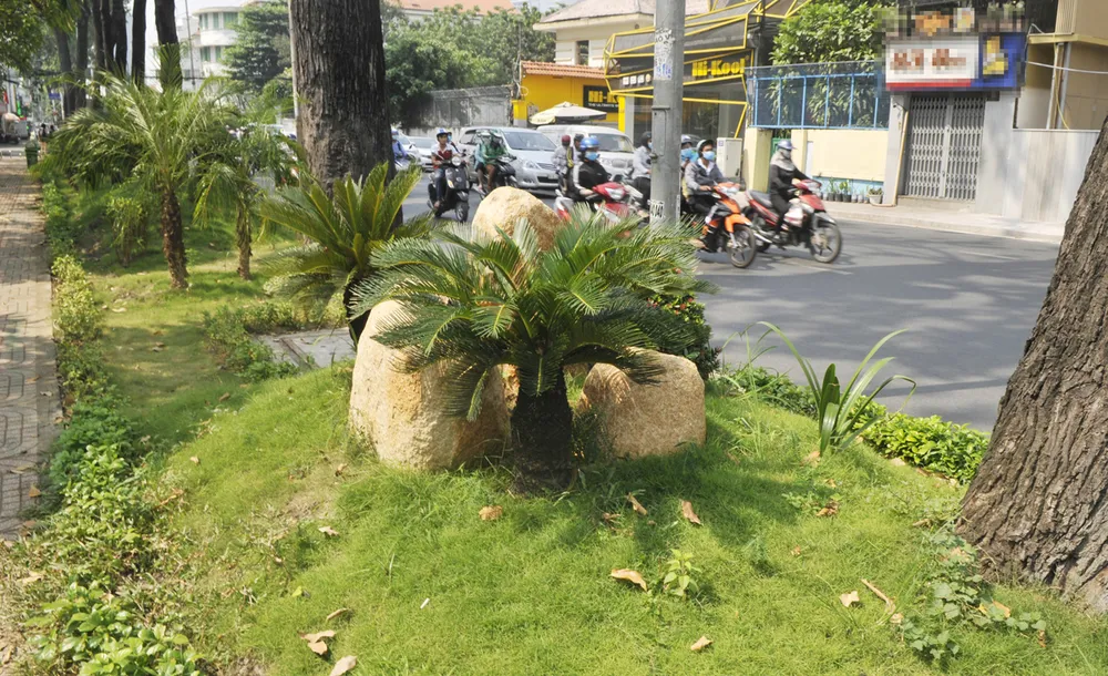 Dọn phố đón tết ảnh 1