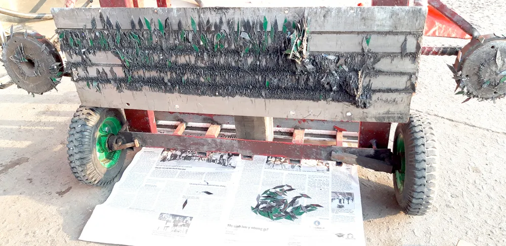 Gam màu đẹp về tình cộng đồng ảnh 2