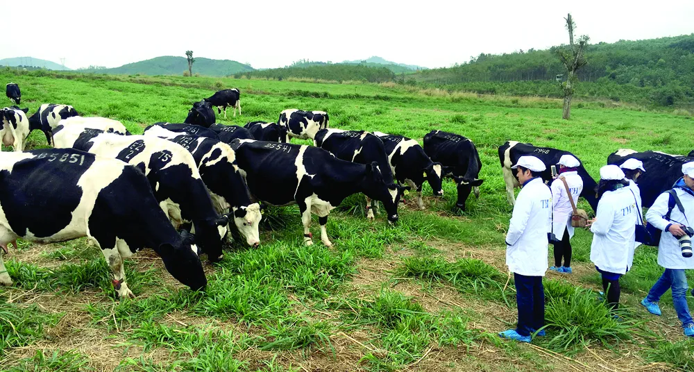 Đa dạng hóa giải pháp để đạt mục tiêu xuất khẩu nông nghiệp ảnh 1