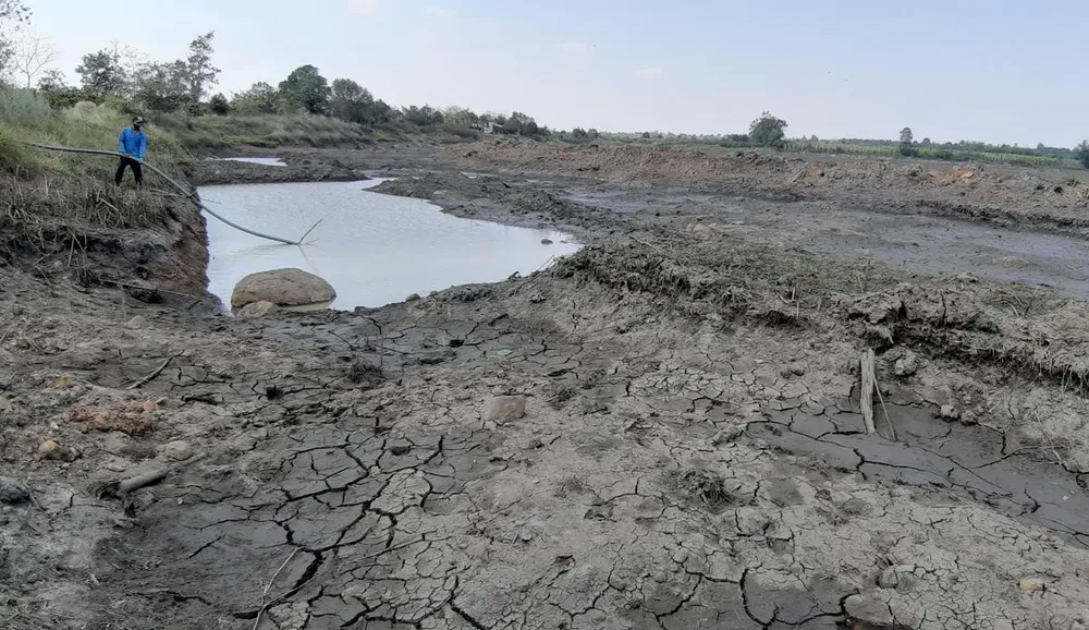 Hạn hán đe dọa Tây Nguyên  ảnh 1