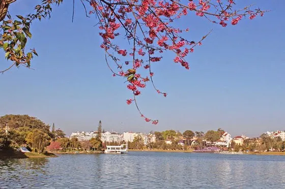 Giữ cho Đà Lạt đẹp và thơ ảnh 1