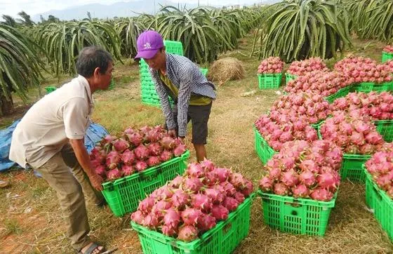 Kim ngạch thương mại Việt Nam - Trung Quốc đạt 106 tỷ USD