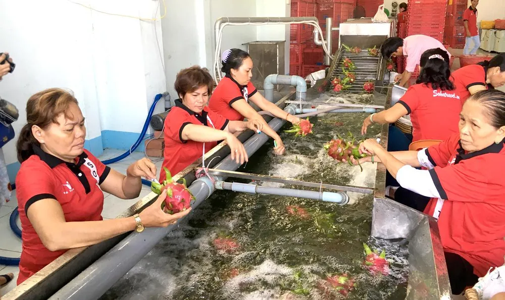 Mở đường “xuất ngoại” cho nông sản Việt ảnh 1