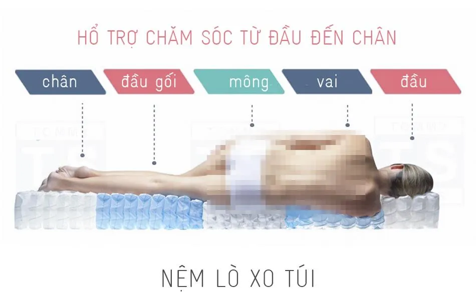 Nệm Vạn Thành Lacoil 8 lớp: Đông ấm, hè mát ảnh 1