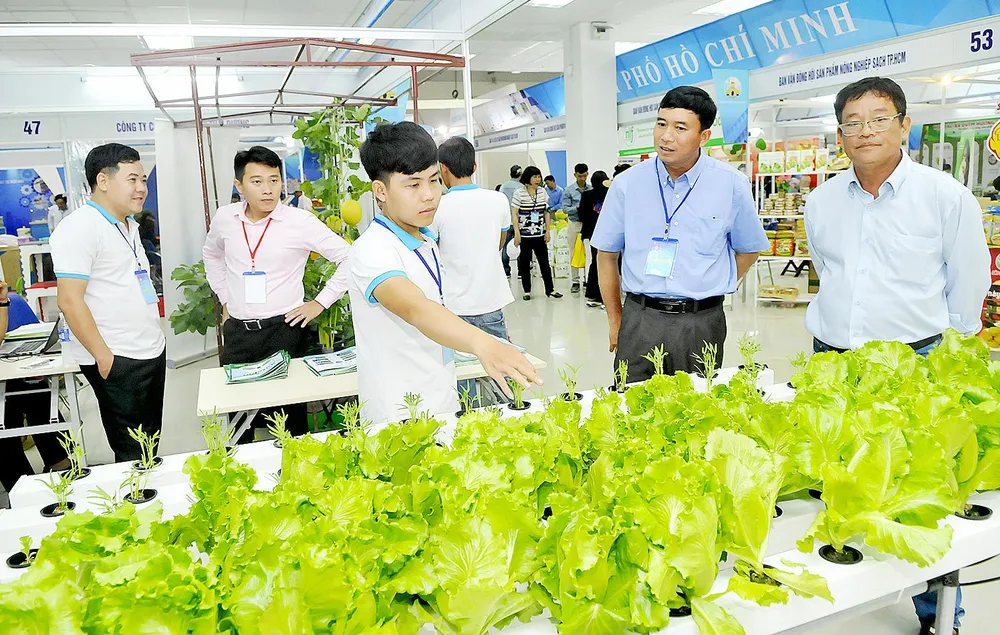 TPHCM xúc tiến các chương trình hàng Việt quy mô lớn  ảnh 1