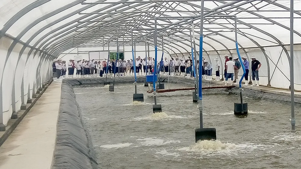 Ứng dụng công nghệ cao để nâng sức cạnh tranh  ảnh 1