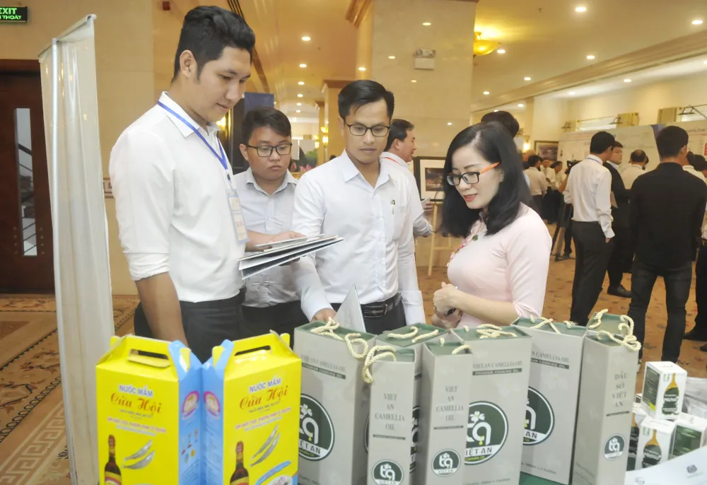 Nghệ An mời gọi đầu tư vào 117 dự án trọng điểm  ảnh 4