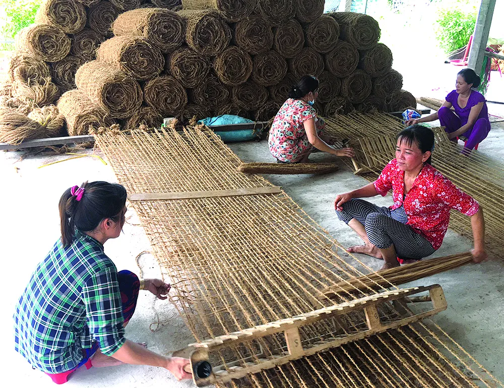 Không gian dừa ảnh 4