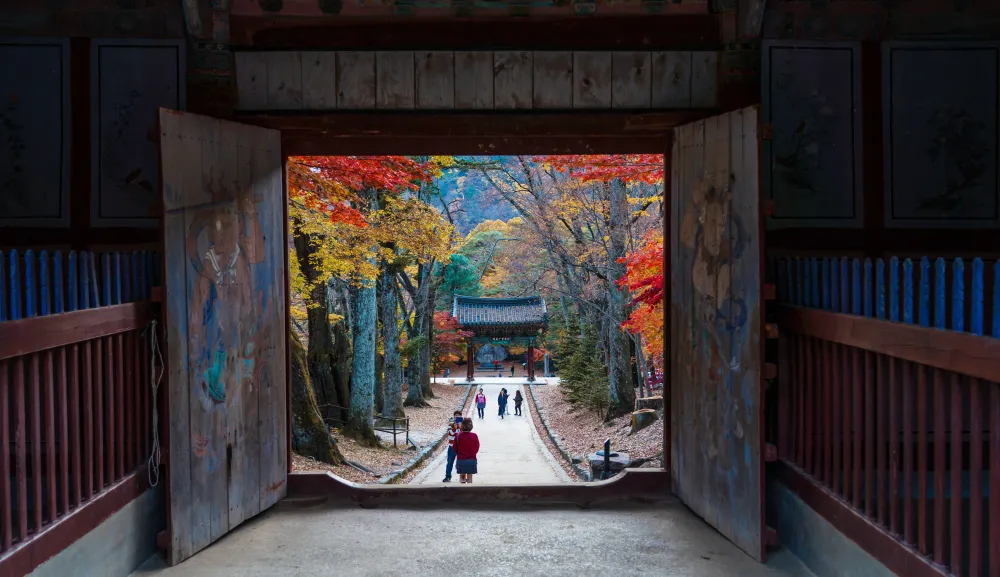 Hàng không tăng chuyến, khách Việt Nam có cơ hội du lịch Hàn Quốc giá rẻ ảnh 4