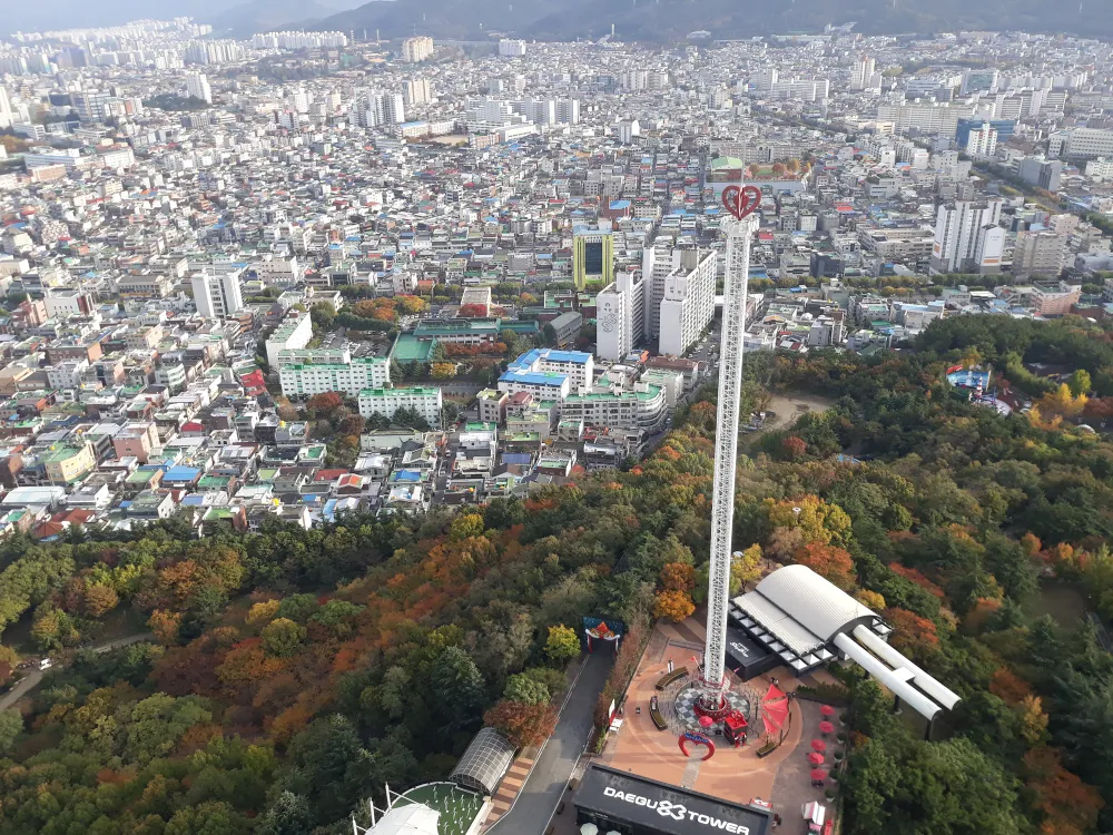 Hàng không tăng chuyến, khách Việt Nam có cơ hội du lịch Hàn Quốc giá rẻ ảnh 8