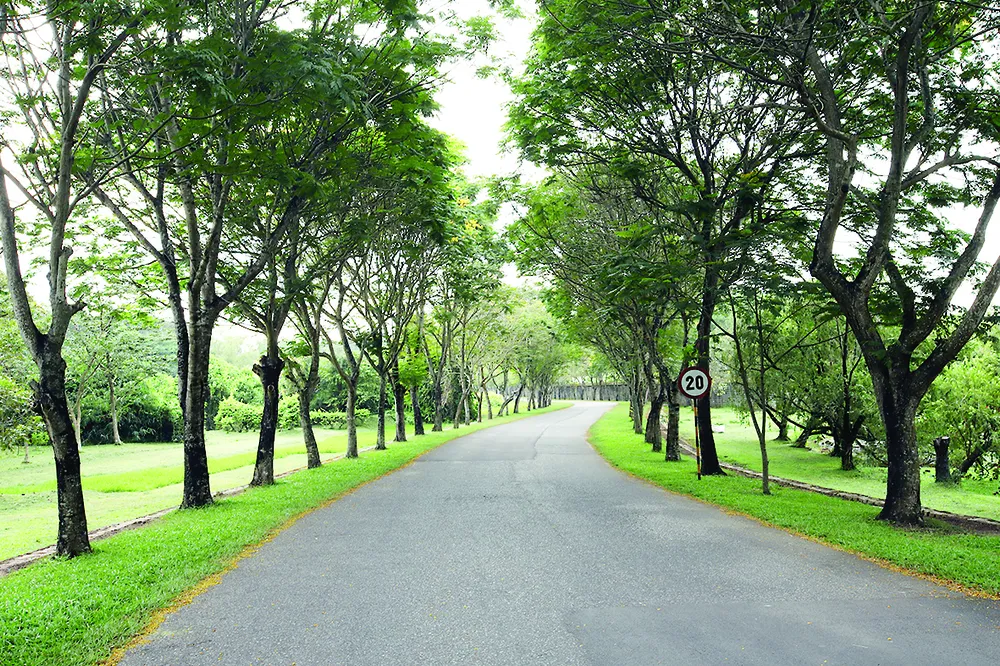 Vedan Việt Nam - “Mái nhà” gắn kết người lao động ảnh 3