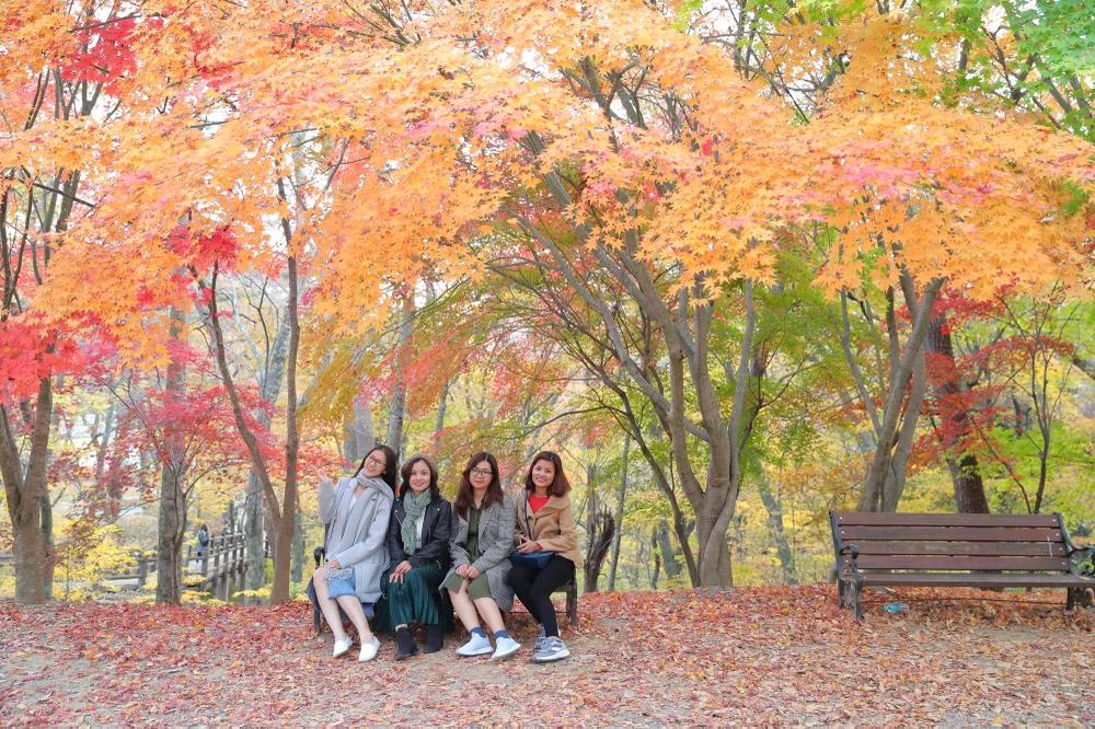 Khám phá những thành phố công nghiệp nổi tiếng ở phía đông nam Hàn Quốc  ảnh 15