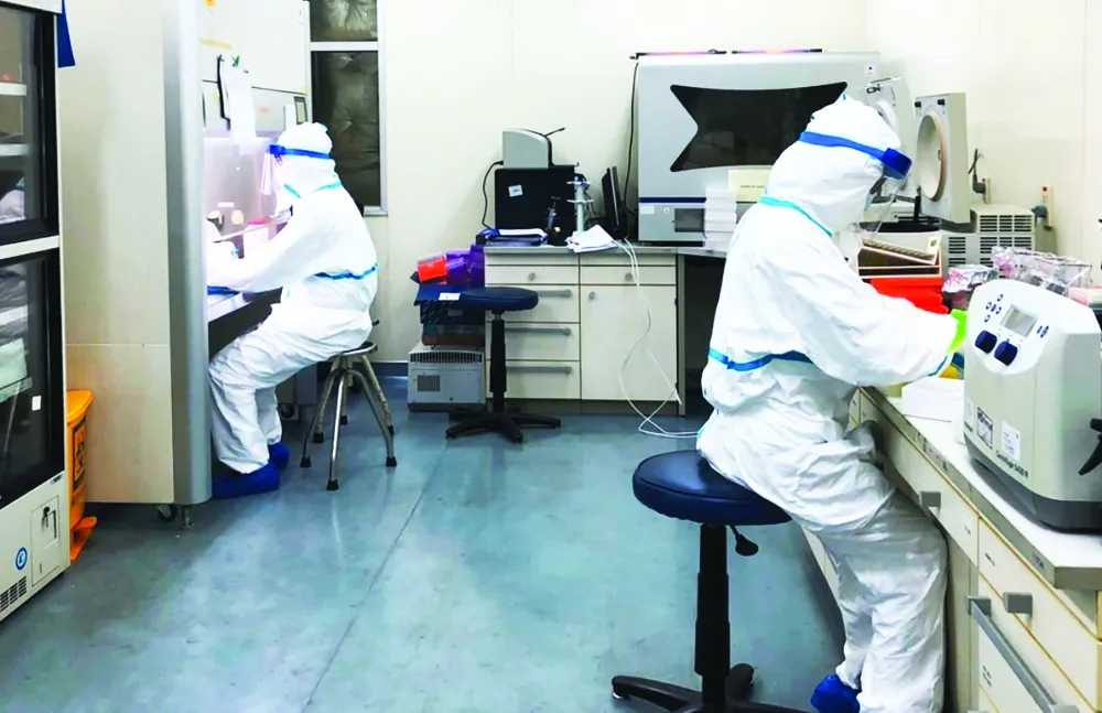 Việt Nam nuôi cấy và phân lập thành công chủng mới của virus Corona  ảnh 1