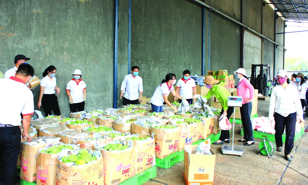 Vedan Việt Nam hỗ trợ cho nông dân huyện Vĩnh Cửu tỉnh Đồng Nai ảnh 2