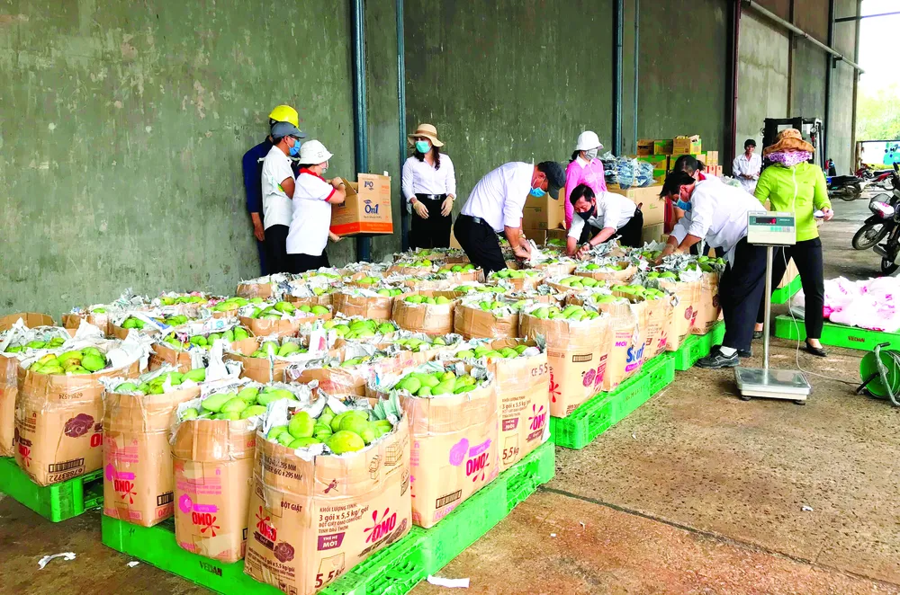 Vedan Việt Nam hỗ trợ cho nông dân huyện Vĩnh Cửu tỉnh Đồng Nai ảnh 1